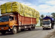 172 Juta Kendaraan Menyumbat Jalan: Kerugian Triliunan Rupiah Mengguncang Ekonomi Indonesia