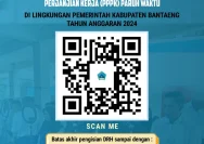 Anggaran Terbatas Kendatkan Implementasi PPPK Paruh Waktu, Ratusan Pemda Terancam Gagal Penuhi Aturan