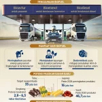 Biofuel Kelapa Sawit: Indonesia Uji Jalan Energi Masa Depan dengan Bensin Nabati