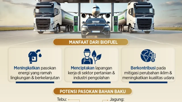 Biofuel Kelapa Sawit: Indonesia Uji Jalan Energi Masa Depan dengan Bensin Nabati