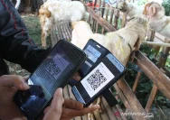 Dispertan Kudus Desak Warga Pilih Hewan Kurban Sehat, Sediakan Layanan Digital dan Pengawasan Ketat