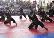 Dominasi Pesilat Perempuan di Bupati Cup Jepara 2026: Silat Jadi Idola Semua Kalangan