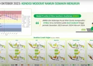 El Nino Godzilla 2026: Ancaman Musim Kering dan Risiko Kesehatan Besar di Indonesia