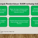 EUDR Indonesia: Siap Di Hulu, Terhambat Di Hilir—Apa Tantangan Besarnya?