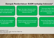 EUDR Indonesia: Siap Di Hulu, Terhambat Di Hilir—Apa Tantangan Besarnya?