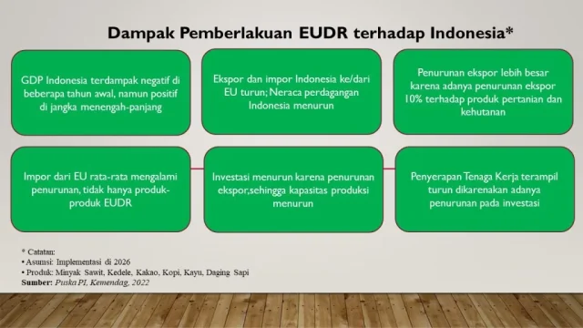 EUDR Indonesia: Siap Di Hulu, Terhambat Di Hilir—Apa Tantangan Besarnya?
