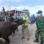 Gubernur Jateng Perkuat Layanan Healing Ternak Jelang Iduladha 2026 di Pedesaan