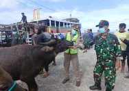 Gubernur Jateng Perkuat Layanan Healing Ternak Jelang Iduladha 2026 di Pedesaan