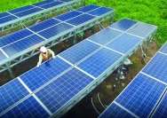 KDKMP Geliatkan Ekonomi Desa: 30 Ribu Sarjana, Energi Surya, dan Produk UMKM Jawa Tengah Siap Dukung