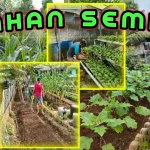 Kebun Produktif di Lahan Sempit: Transformasi Rutan Jepara Beri Harapan Baru bagi Warga Binaan