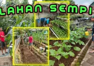 Kebun Produktif di Lahan Sempit: Transformasi Rutan Jepara Beri Harapan Baru bagi Warga Binaan