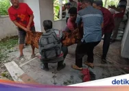 Mayat Gantung Kledokan: Pria 47 Tahun Ditemukan Tergantung Diri di Sleman, Dugaan Depresi Menjadi Penyebab