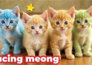 Mengenal Arti Suara Kucing: Panduan Lengkap Memahami Meong Kesayangan Anda