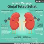 Olahraga Ginjal: Rahasia Sederhana Jaga Fungsi Filtrasi Tubuh Secara Efektif