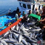 Operasi Penangkapan Ikan Sapu-sapu di Jakarta Timur Hasilkan 763 Kg Secara Massal