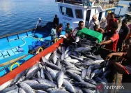 Operasi Penangkapan Ikan Sapu-sapu di Jakarta Timur Hasilkan 763 Kg Secara Massal