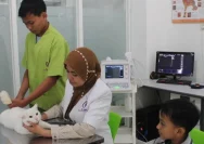 Pemkot Yogyakarta Bantu Azizah, Bocah Rosok yang Mengincar Azizah dokter hewan