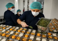 Semarang Pionir Kolaborasi ASEAN dalam Akselerasi Program Makan Bergizi Gratis