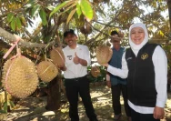 Sumanto Dorong Desa Gempolan Jadi Sentra Durian Gempolan dengan Inovasi Pertanian