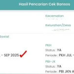 Terungkap! Cara Cepat Cek Bansos 2026 lewat Aplikasi Resmi, Pastikan Anda Tidak Ketinggalan
