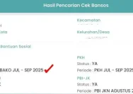 Terungkap! Cara Cepat Cek Bansos 2026 lewat Aplikasi Resmi, Pastikan Anda Tidak Ketinggalan
