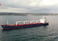 Ukraina Desak Israel Selidiki Kapal Gandum Rusia di Haifa: Tuduhan Curian dan Dampak Geopolitik