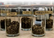 5 Jenis Biji Kopi yang Paling Disukai Orang Indonesia