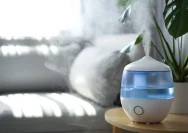 5 Rekomendasi Humidifier untuk Ruangan Non AC yang Efektif