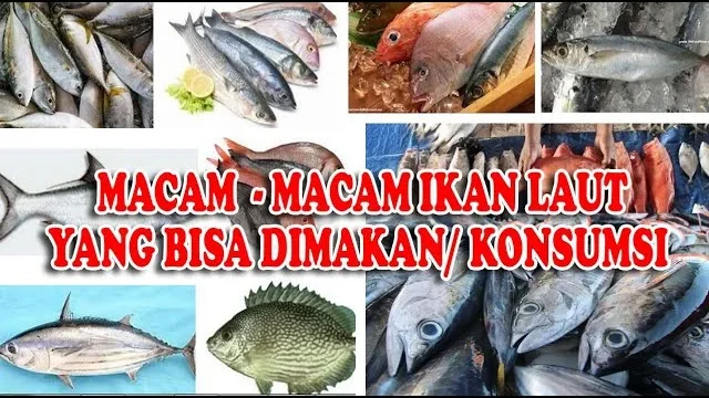 7 Ikan Terbaik untuk Dikonsumsi: Manfaat dan Tips Mengolahnya