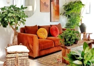 7 Tanaman Indoor Cantik untuk Mempercantik Ruang Tamu