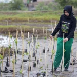 Aceh Mengambil Rute Hijau: Paradigma 'Growth with Nature' Jadi Arah Pembangunan