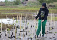 Aceh Mengambil Rute Hijau: Paradigma 'Growth with Nature' Jadi Arah Pembangunan