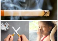 Ancaman Tersembunyi di Rumah: Sisa Rokok yang Mengintai Kesehatan Anda