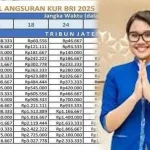 Apakah KUR BRI 2026 Bisa untuk Karyawan? Ini Jawabannya