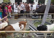 ASN Sungai Penuh Gelar Qurban Massal dengan 35 Ekor Sapi