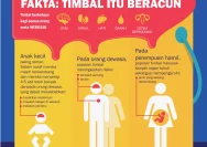 Baju Anak 'Fast Fashion' Berbahaya, Studi Temukan Kandungan Timbal Beracun