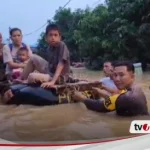 Banjir Bungo Jambi Meluas, Ribuan Rumah Warga Terendam