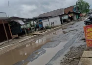 Banjir Jalan Sapat Ujung Unit 6 Rimbo Bujang Viral di Facebook, Warga Keluhkan Akses Lumpuh dan Kerugian Meningkat