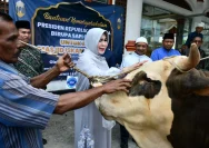Bantuan Sapi Kurban Presiden untuk Warga Grobogan Setelah Banjir