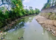 Bayi Perempuan Meninggal Terapung di Sungai Citepus Bandung: Warga Panik