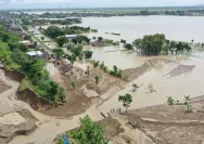 Bencana Jebolnya Tanggul Sungai Tuntang Menghancurkan Lahan Pertanian di Grobogan