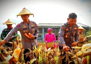 Bhabinkamtibmas Polres Trenggalek Berdayakan Petani Demi Ketahanan Pangan