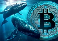 Bitcoin Terancam Crash Besar, Tetapi Whale Membeli Rp1 Triliun BTC di Tengah Kepanikan Pasar