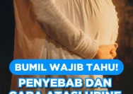 Bocor Urine Saat Hamil: Penyebab dan Cara Atasi