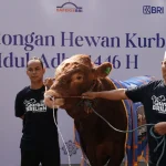 BRI Group Salurkan 5.000 Hewan Kurban untuk Masyarakat di Seluruh Indonesia