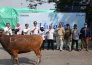 BRI Group Salurkan Lebih dari 5.000 Hewan Kurban ke Berbagai Wilayah Indonesia