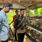 BUMDes Blora Kelola Ayam Petelur untuk Dukung Ketahanan Pangan