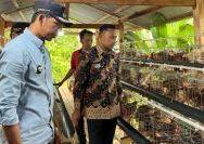 BUMDes Blora Kelola Ayam Petelur untuk Dukung Ketahanan Pangan