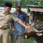Bupati Albarra Serahkan Hewan Kurban untuk Iduladha di Mojokerto