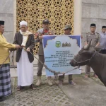 Bupati Luwu Utara Sambut Iduladha dengan Membagikan Hewan Kurban
